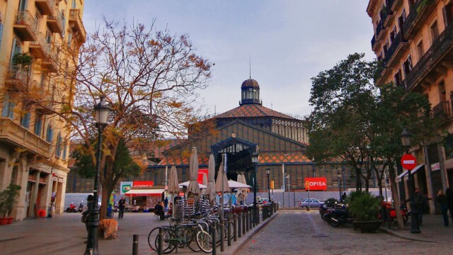SONY DSC